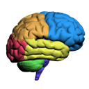 Neurologie